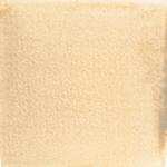 Dye mushroom: Boletus rex veris (Spring King Bolete), Pigment: soda ash