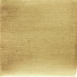 Dye mushroom: Tapinella atrotomentosa (Velvet pax foot), Pigment: copper acetate