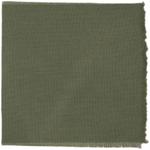 Dye mushroom: Tapinella atrotomentosa (Velvet pax foot), Fiber: wool, Mordent: iron