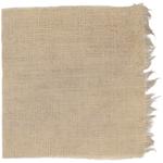 Dye mushroom: Boletus rex veris (Spring King Bolete), Fiber: linen, Mordent: iron