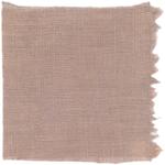 Dye mushroom: Cortinarius neosanguines (Western Blood Red Cort), Fiber: linen, Mordent: iron