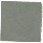 Dye mushroom: Tapinella atrotomentosa (Velvet pax foot), Fiber: wool, Mordent: tin