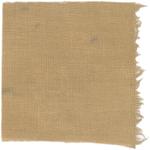 Dye mushroom: Neoboletus praestigator (Scarletina Bolete), Fiber: linen, Mordent: iron