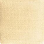 Dye mushroom: Boletus rex veris (Spring King Bolete), Pigment: alum