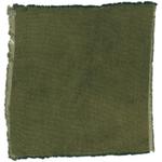 Dye mushroom: Hydnellum regium (null), Fiber: wool, Mordent: tin