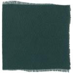 Dye mushroom: Hydnellum regium (null), Fiber: silk, Mordent: iron