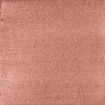 Dye mushroom: Cortinarius semisanguineus (Surprise Web Cap), Pigment: citric acid