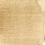 Dye mushroom: Tapinella atrotomentosa (Velvet pax foot), Pigment: citric acid