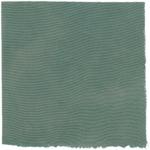 Dye mushroom: Sarcadon stereosarcinon (Stereo Tooth), Fiber: silk, Mordent: iron