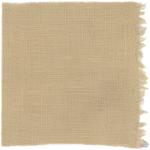 Dye mushroom: Hydnellum squamosus (Scaly Tooth), Fiber: linen, Mordent: iron