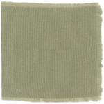 Dye mushroom: Boletopsis grisea (null), Fiber: wool, Mordent: alum