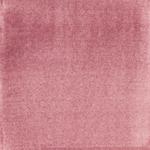 Dye mushroom: Cortinarius uliginosus (Marsh Web Cap), Pigment: base