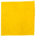 Dye mushroom: Aureoboletus mirabilis (Admirable Bolete), Fiber: wool, Mordent: alum