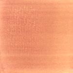 Dye mushroom: Cortinarius neosanguines (Western Blood Red Cort), Pigment: iron