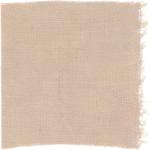 Dye mushroom: Turbinellus floccosus (Wooly Chanterelle), Fiber: linen, Mordent: iron