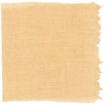 Dye mushroom: Cortinarius subcroceofolius (Cinnamon Cort), Fiber: linen, Mordent: iron