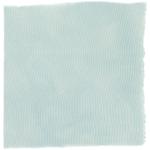 Dye mushroom: Hydnellum caeruleum (Blue Orange Hydnellum), Fiber: silk, Mordent: alum