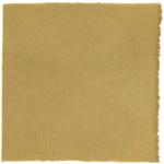 Dye mushroom: Neoboletus praestigator (Scarletina Bolete), Fiber: wool, Mordent: iron