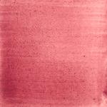 Dye mushroom: Cortinarius sanguineus (Blood Red Webcap), Pigment: base