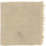 Dye mushroom: Tapinella atrotomentosa (Velvet pax foot), Fiber: linen, Mordent: aluminum acetate