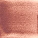 Dye mushroom: Echinodontium tinctorium (Indian Paint Fungus), Pigment: soda ash