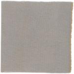 Dye mushroom: Turbinellus floccosus (Wooly Chanterelle), Fiber: wool, Mordent: iron