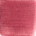 Dye mushroom: Cortinarius neosanguines (Western Blood Red Cort), Pigment: alum