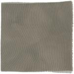 Dye mushroom: Tapinella atrotomentosa (Velvet pax foot), Fiber: silk, Mordent: tin