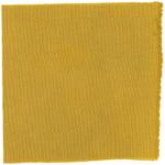 Dye mushroom: Boletus edulis var. edulis (King Bolete, Porcini), Fiber: wool, Mordent: iron