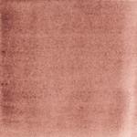 Dye mushroom: Cortinarius semisanguineus (Surprise Web Cap), Pigment: base