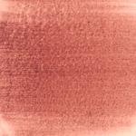 Dye mushroom: Cortinarius semisanguineus (Surprise Web Cap), Pigment: citric acid