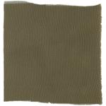 Dye mushroom: Tapinella atrotomentosa (Velvet pax foot), Fiber: silk, Mordent: iron