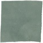 Dye mushroom: Phellodon atratus (null), Fiber: silk, Mordent: tin