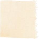 Dye mushroom: Hydnellum squamosus (Scaly Tooth), Fiber: linen, Mordent: titanium oxalate