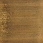 Dye mushroom: Gymnopilus ventricosus (Western Jumbo Gym), Pigment: iron