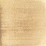 Dye mushroom: Tapinella atrotomentosa (Velvet pax foot), Pigment: alum