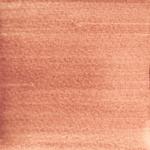 Dye mushroom: Echinodontium tinctorium (Indian Paint Fungus), Pigment: base