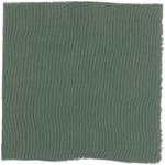 Dye mushroom: Phellodon atratus (null), Fiber: silk, Mordent: iron