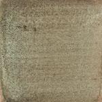 Dye mushroom: Cortinarius violaceus (Violet Webcap), Pigment: copper acetate