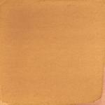 Dye mushroom: Pisolithus tinctorius (Dyer's Puffball), Pigment: citric acid