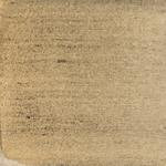 Dye mushroom: Sarcadon stereosarcinon (Stereo Tooth), Pigment: iron