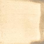 Dye mushroom: Xerocomellus zelleri (Zeller's bolete), Pigment: citric acid