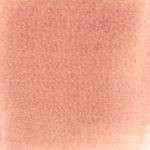 Dye mushroom: Cortinarius subcroceofolius (Cinnamon Cort), Pigment: citric acid