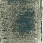 Dye mushroom: Polyozellus atroazulinus (Blue Chanterelle), Pigment: alum