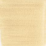 Dye mushroom: Boletus rex veris (Spring King Bolete), Pigment: base