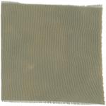 Dye mushroom: Boletopsis grisea (null), Fiber: silk, Mordent: iron