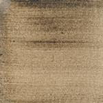 Dye mushroom: Sarcadon stereosarcinon (Stereo Tooth), Pigment: soda ash