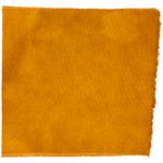 Dye mushroom: Aureoboletus mirabilis (Admirable Bolete), Fiber: wool, Mordent: tin