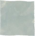 Dye mushroom: Hydnellum suaveolens (Sweetgrass Hydnellum), Fiber: silk, Mordent: tin