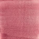 Dye mushroom: Cortinarius sanguineus (Blood Red Webcap), Pigment: copper acetate